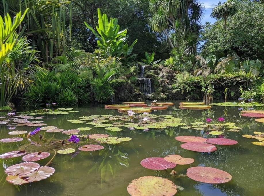 Вилла Insta Worthy Oasis Хомстед Экстерьер фото